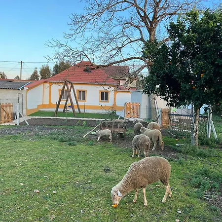 Quinta Da Nogueira Albergaria dos Doze