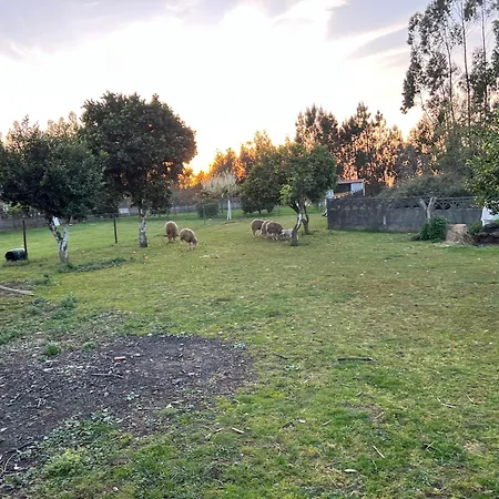 Quinta Da Nogueira *