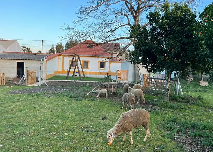 Quinta Da Nogueira Albergaria dos Doze