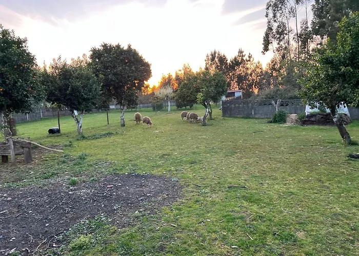 Quinta Da Nogueira *