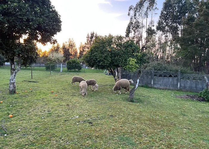 Quinta Da Nogueira * Albergaria dos Doze